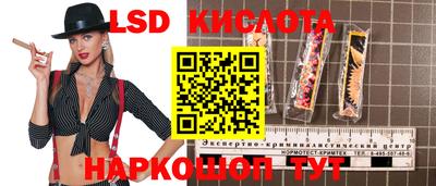 apvp Кингисепп