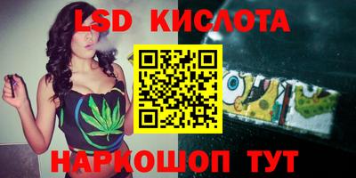 apvp Кингисепп
