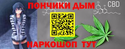 apvp Кингисепп