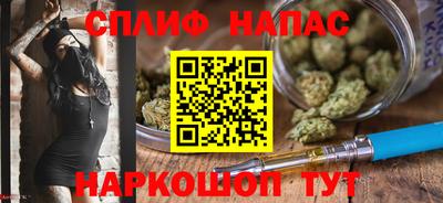 apvp Кингисепп