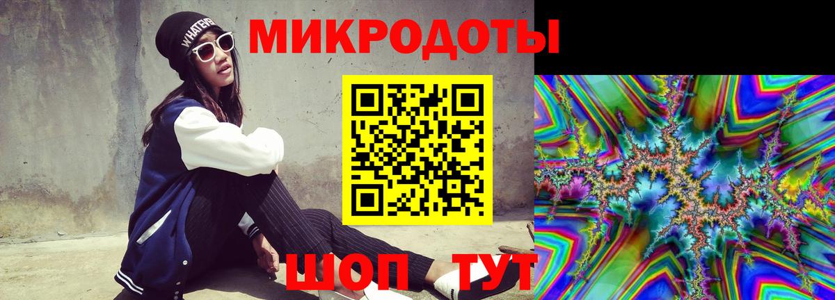 Галлюциногенные грибы Psilocybe Котовск