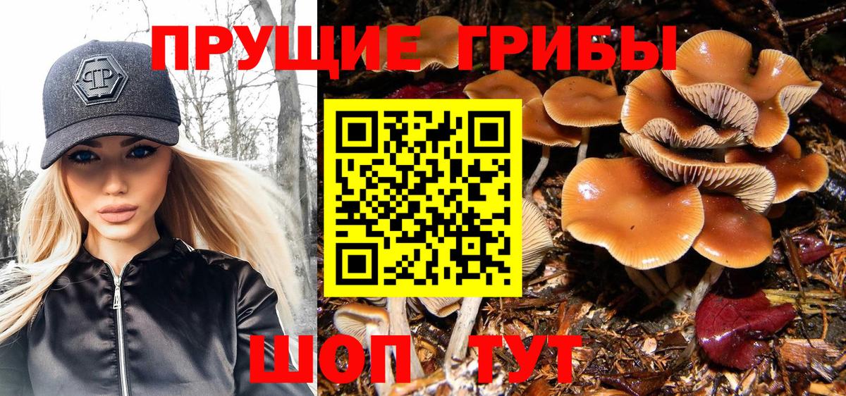 Котовск  Псилоцибиновые грибы ЛСД  Вход с VPN 